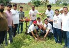 जन्मदिन बना पर्यावरण संरक्षण का संकल्प, तीन सदस्यों ने लगाए 101 पौधे