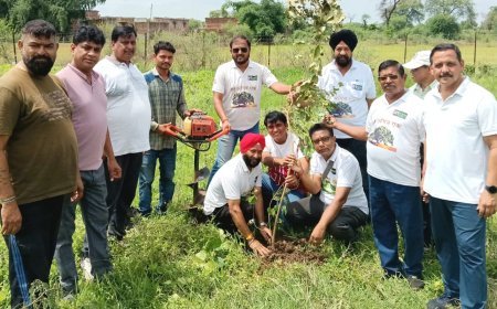 जन्मदिन बना पर्यावरण संरक्षण का संकल्प, तीन सदस्यों ने लगाए 101 पौधे