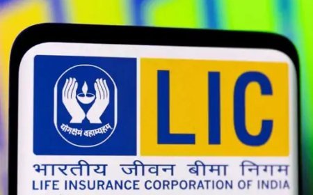 LIC में हिस्सेदारी घटाएगी सरकार, OFS के जरिए 6.5% तक शेयर बिक्री की तैयारी