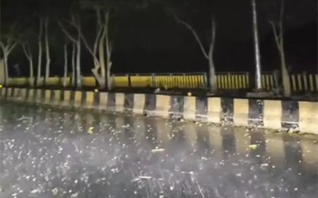 छत्तीसगढ़ में मानसून फिर हुआ सक्रिय, तीन दिन तक भारी बारिश और आकाशीय बिजली का अलर्ट