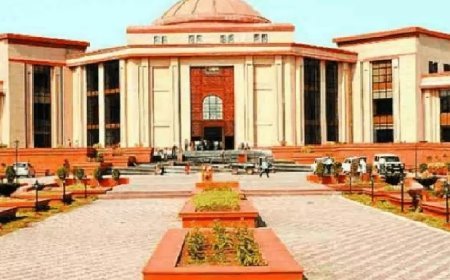 हाईकोर्ट की दो टूक-फुटपाथ पर पैदल चलना मौलिक अधिकार, अतिक्रमण पर निगम से जवाब