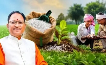 खरीफ सीजन में तेज हुई रफ्तार, छत्तीसगढ़ में 94% बोनी पूरी