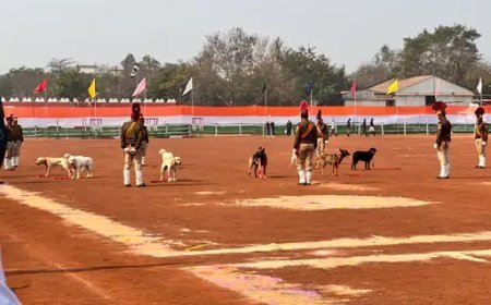रायपुर में स्वतंत्रता दिवस समारोह की तैयारियां अंतिम चरण में