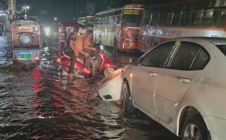 दुर्ग में 567.1 मिमी बारिश, पाटन सबसे आगे; धमधा में सबसे कम बरसा पानी