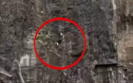 पहाड़ी से कूदे बेटे को बचाने दौड़े पिता, दोनों की मौत; सदमे में मां ने भी लगा दी छलांग