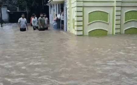 छत्तीसगढ़ में फिर बदला मौसम, आज कई इलाकों में भारी बारिश के आसार; कोरबा में घरों तक पहुंचा पानी