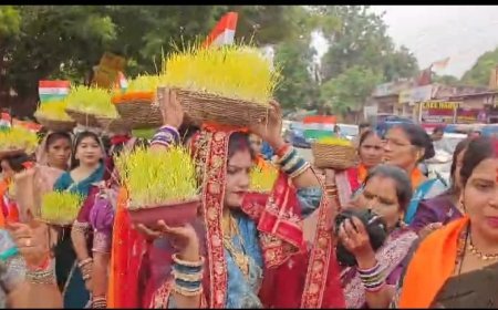 भोजली की हरियाली में दिखी लोधी समाज की एकजुटता, भिलाई में निकली भव्य रैली