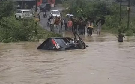 उफनते नाले में स्कॉर्पियो लेकर उतरे दो युवक, तेज बहाव में बहा वाहन; दोनों को लोगों ने बचाया