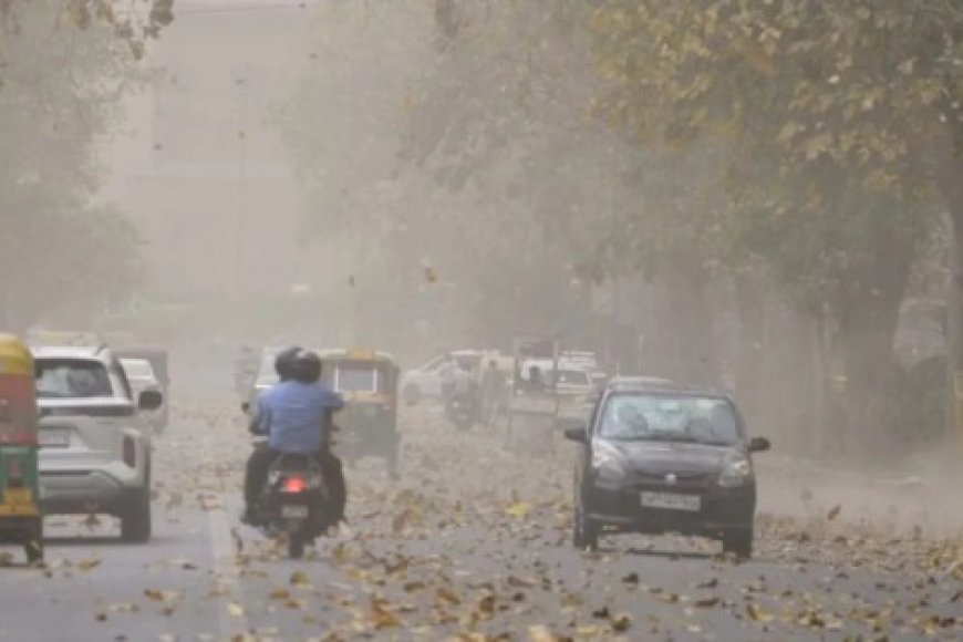 छत्तीसगढ़ में मानसून फिर सक्रिय, अगले 2 दिन कई इलाकों में बारिश के आसार