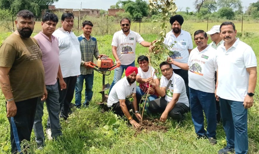जन्मदिन बना पर्यावरण संरक्षण का संकल्प, तीन सदस्यों ने लगाए 101 पौधे