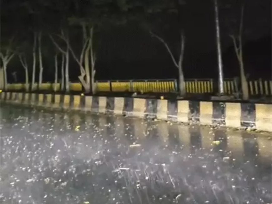 छत्तीसगढ़ में मानसून फिर हुआ सक्रिय, तीन दिन तक भारी बारिश और आकाशीय बिजली का अलर्ट