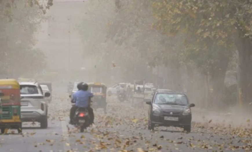 छत्तीसगढ़ में मानसून फिर सक्रिय, अगले 2 दिन कई इलाकों में बारिश के आसार