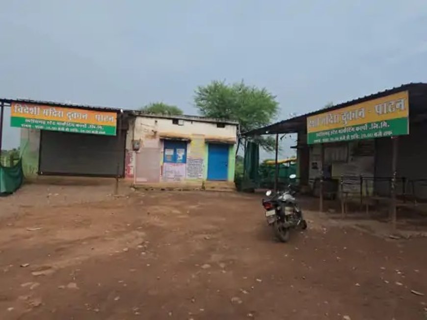 नर्सरी में युवक से मारपीट के बाद मौत, पाटन में शराब दुकान के पास हुआ था विवाद