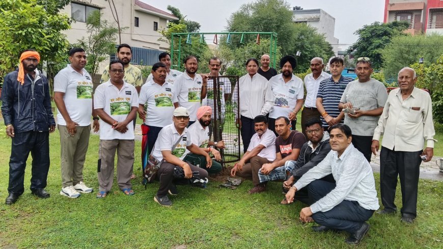 भीषण बारिश के बीच महामृत्युंजय उद्यान में गूंजा हरियाली का संदेश, आर्टकॉम ने रोपे अल्फा पौधे