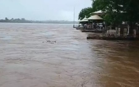 देश के कई हिस्सों में बारिश का कहर, उत्तराखंड में 12 मौतें; चित्रकूट में रामघाट डूबा