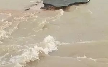 तीन राज्यों में बारिश का कहर: बिहार में 13 जिले डूबे, काशी में पलायन; हिमाचल में 175 सड़कें ठप