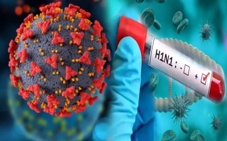 H1N1 की दस्तक तेज, दुर्ग में 24 घंटे में 5 केस मिले