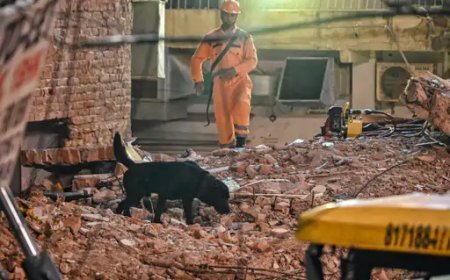 बेसमेंट की खुदाई बनी 5 मंजिला इमारत के ढहने की वजह? सत्य निकेतन में 6 की मौत