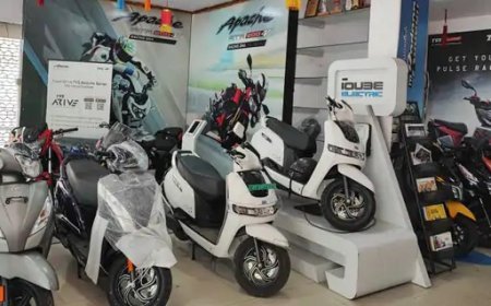 इलेक्ट्रिक वाहनों ने पकड़ी रफ्तार, अगस्त में रिकॉर्ड बिक्री; EV बाजार 53% उछला