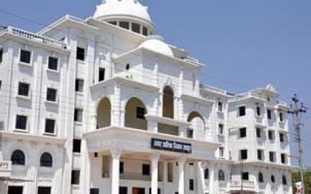 पांच पर्वों पर नॉनवेज की बिक्री पर सख्ती, रायपुर में दुकान से होटल तक रहेगी निगरानी