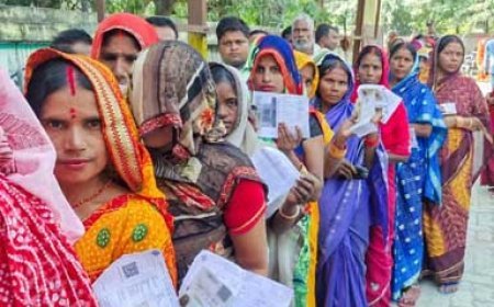 चार निगमों में चुनावी तैयारी तेज, महिला आरक्षित सीटों पर सक्रिय चेहरों की तलाश