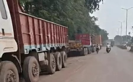 सड़क पर एक तरफ ट्रक, दूसरी तरफ मवेशी, बीच से निकल रहे लोग; दुर्ग में हादसों ने बढ़ाई चिंता