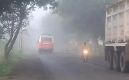कोहरे की चादर में पेंड्रा, बारिश ने बदला मौसम का मिजाज