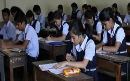 छत्तीसगढ़ में स्कूलों की छुट्टियों का कैलेंडर जारी, दशहरा-दीपावली और सर्दी में 15 दिन रहेगा अवकाश