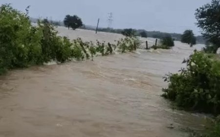 बारिश से छत्तीसगढ़ बेहाल, कई जिलों में बाढ़ जैसे हालात