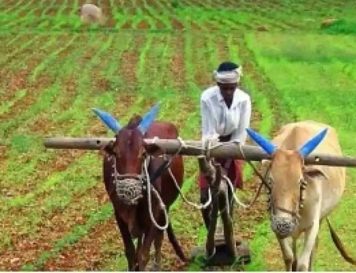 सरगुजा के अन्नदाताओं को बड़ी सौगात, 7 नए धान उपार्जन केंद्रों की स्थापना