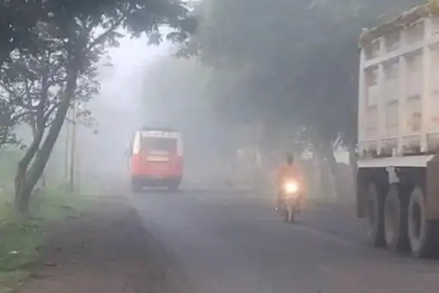 कोहरे की चादर में पेंड्रा, बारिश ने बदला मौसम का मिजाज