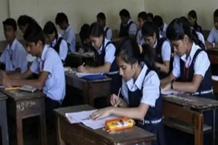 छत्तीसगढ़ में स्कूलों की छुट्टियों का कैलेंडर जारी, दशहरा-दीपावली और सर्दी में 15 दिन रहेगा अवकाश