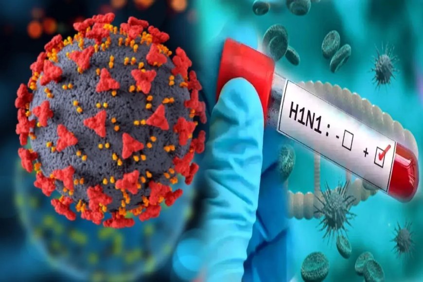 H1N1 की दस्तक तेज, दुर्ग में 24 घंटे में 5 केस मिले