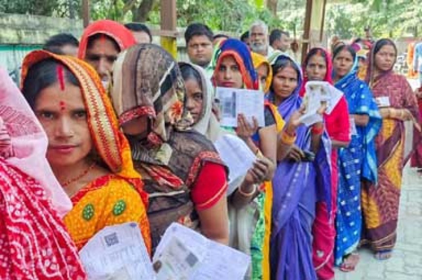 चार निगमों में चुनावी तैयारी तेज, महिला आरक्षित सीटों पर सक्रिय चेहरों की तलाश