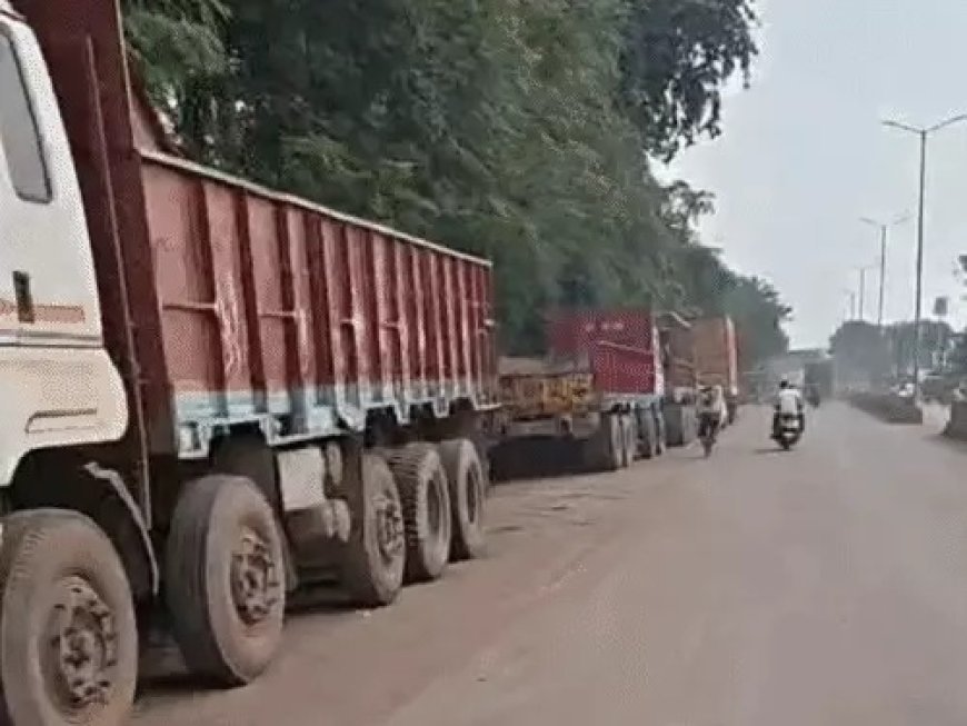 सड़क पर एक तरफ ट्रक, दूसरी तरफ मवेशी, बीच से निकल रहे लोग; दुर्ग में हादसों ने बढ़ाई चिंता