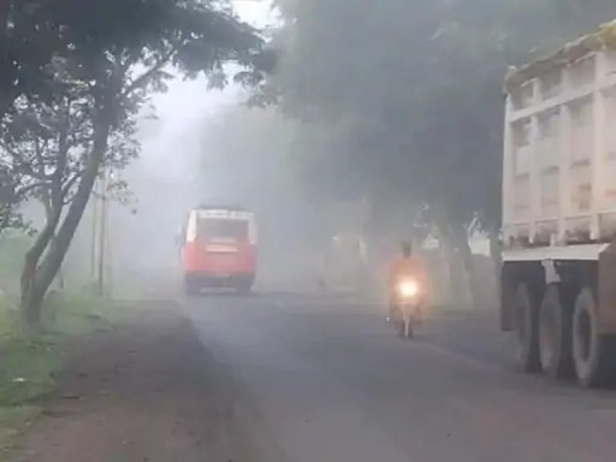 कोहरे की चादर में पेंड्रा, बारिश ने बदला मौसम का मिजाज