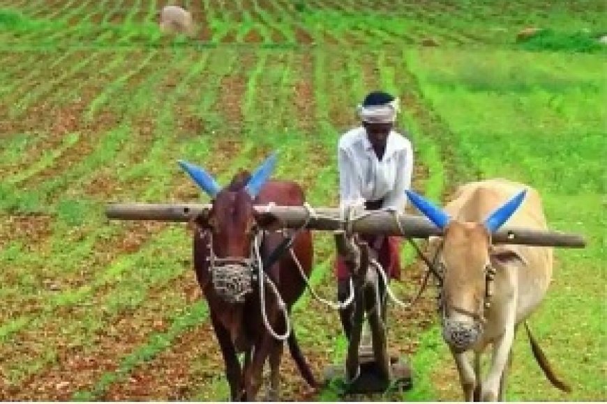 सरगुजा के अन्नदाताओं को बड़ी सौगात, 7 नए धान उपार्जन केंद्रों की स्थापना