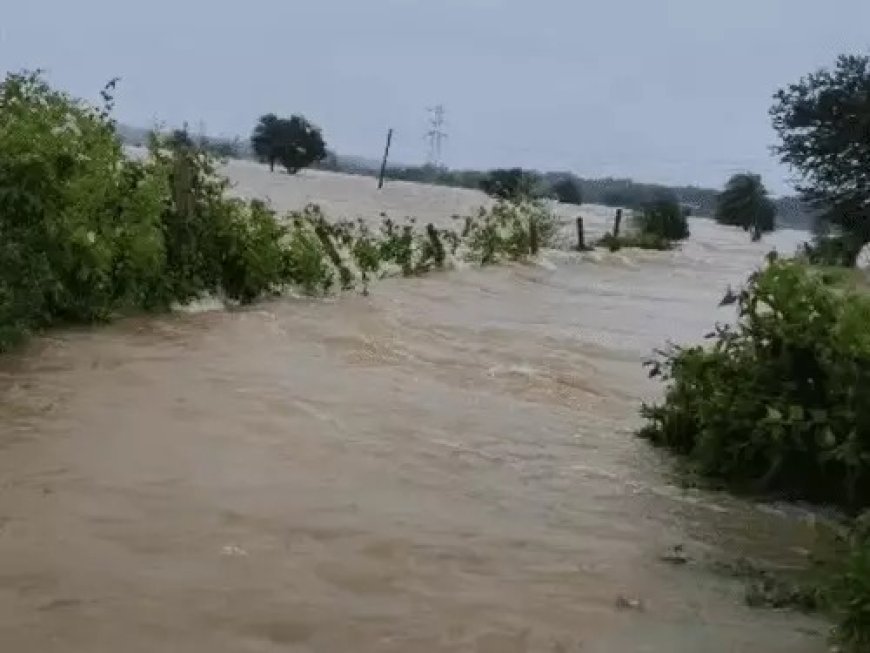 बारिश से छत्तीसगढ़ बेहाल, कई जिलों में बाढ़ जैसे हालात