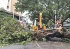 आंध्र के तट से टकराया तूफान अर्नब, 135 किमी प्रति घंटे की रफ्तार से चली हवाएं