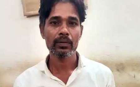 मवेशियों से भरे आयशर में मिलीं 12 मृत भैंसें, मंदिर हसौद में दो गिरफ्तार