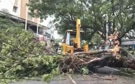 आंध्र के तट से टकराया तूफान अर्नब, 135 किमी प्रति घंटे की रफ्तार से चली हवाएं