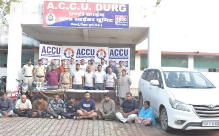 फर्श के नीचे गाड़ रखे थे चोरी के जेवर और नकदी, भिलाई के डॉक्टर के घर हुई एक करोड़ की चोरी सुलझी