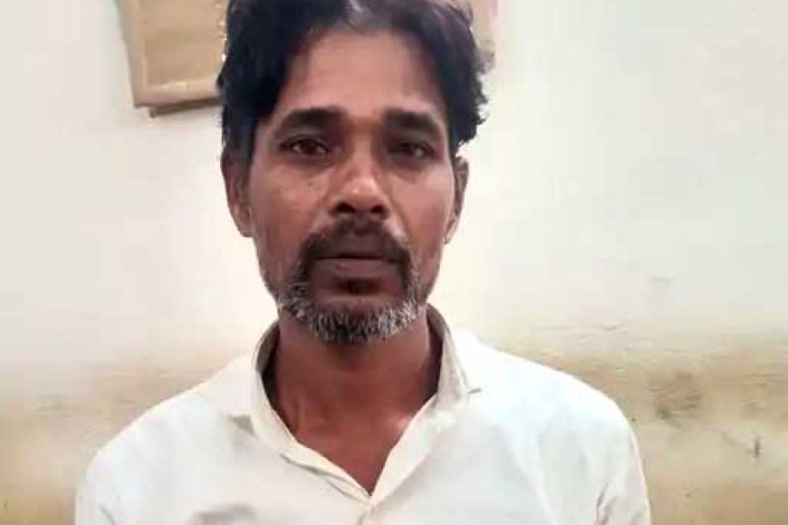 मवेशियों से भरे आयशर में मिलीं 12 मृत भैंसें, मंदिर हसौद में दो गिरफ्तार