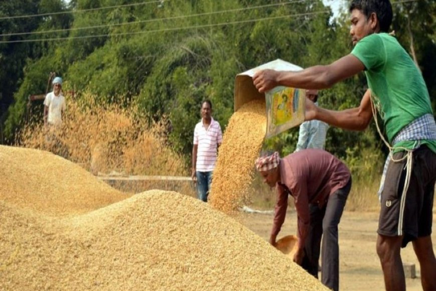 धान खरीदी में किसानों को फिर मिलेगी ऑनलाइन टोकन की सुविधा