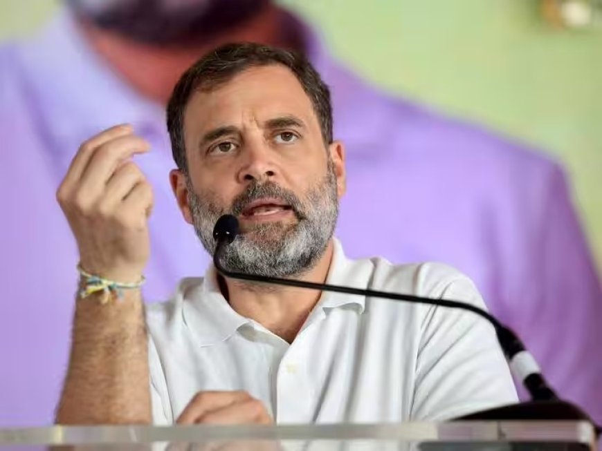 राहुल गांधी के बस्तर दौरे की तैयारी, बोधघाट प्रभावितों से करेंगे संवाद