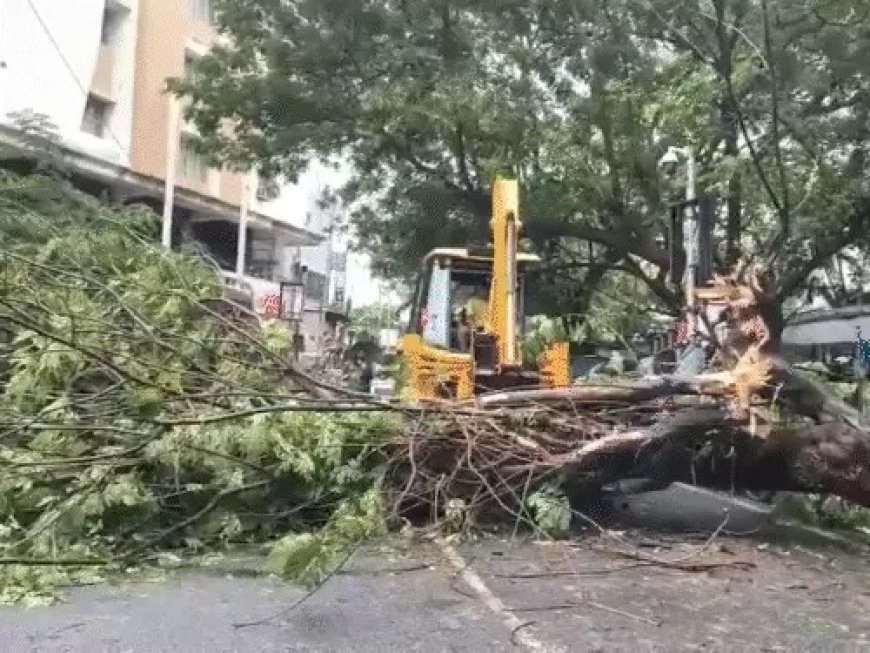 आंध्र के तट से टकराया तूफान अर्नब, 135 किमी प्रति घंटे की रफ्तार से चली हवाएं