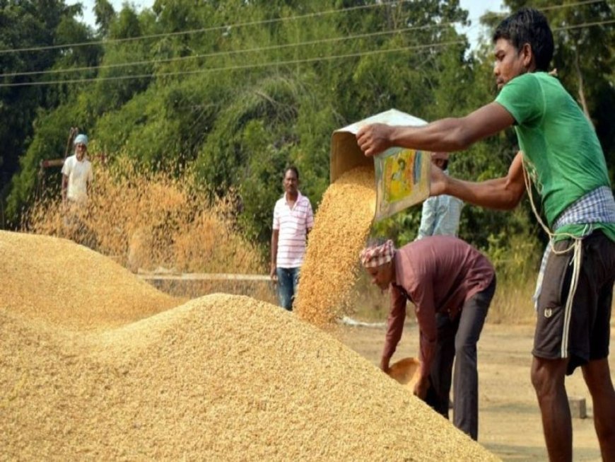 धान खरीदी में किसानों को फिर मिलेगी ऑनलाइन टोकन की सुविधा